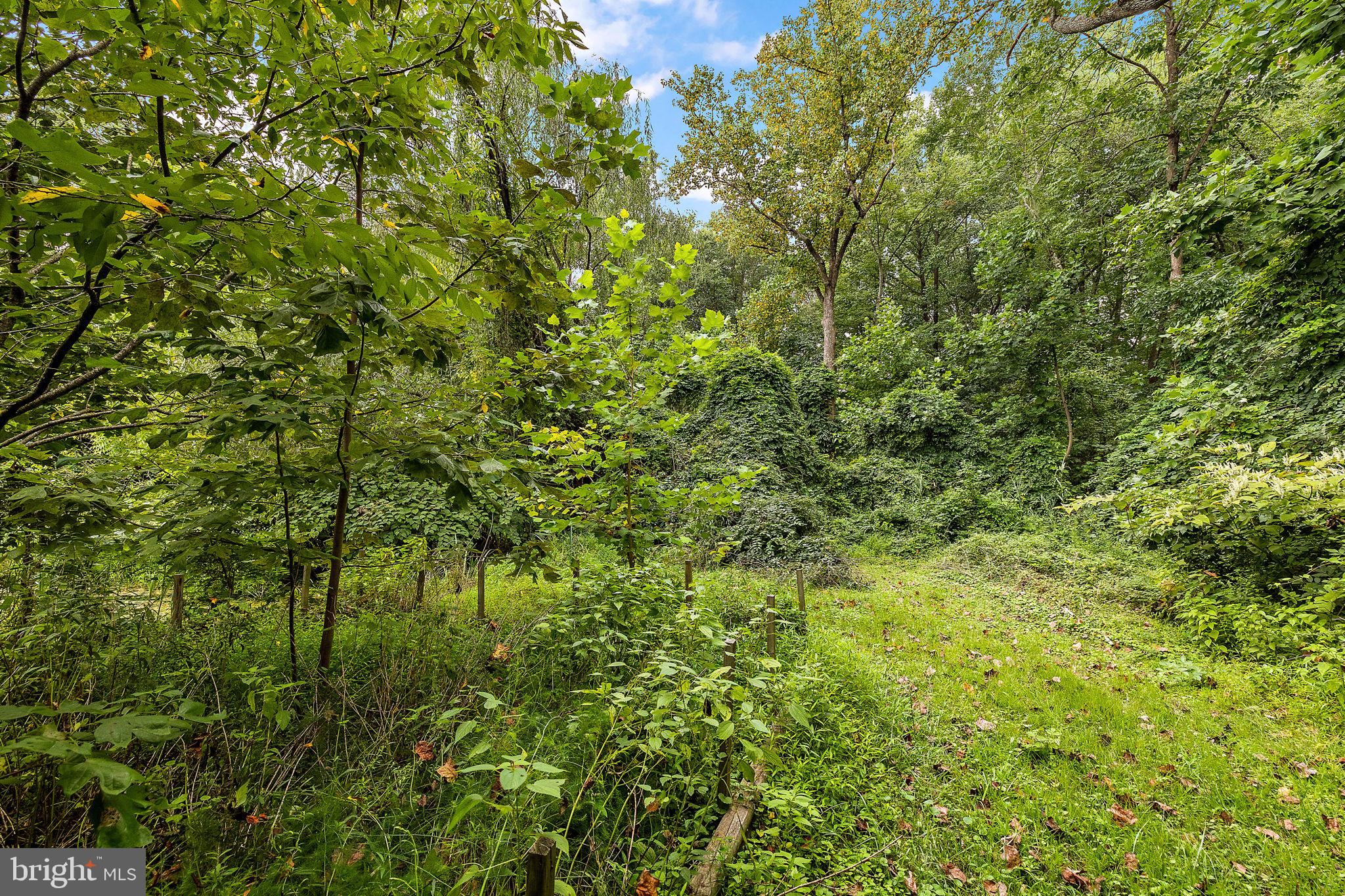 306 Rothwell Dr