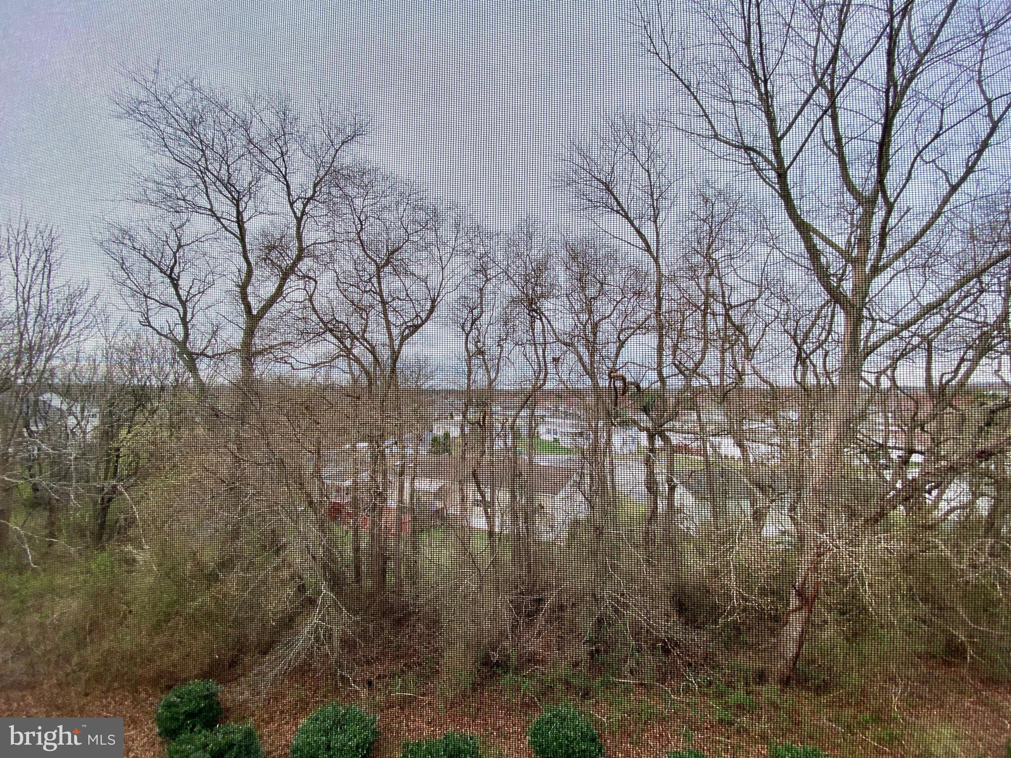 101-Unit Colonial Downs Ct #1304