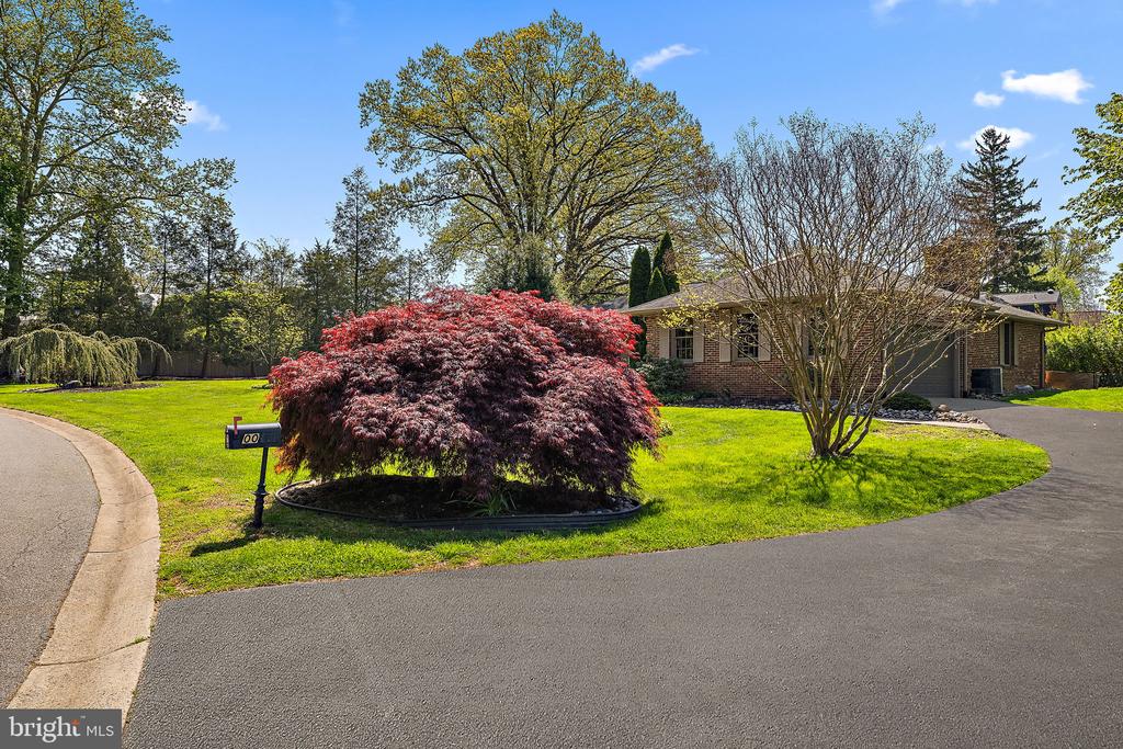 100 Montchan Dr