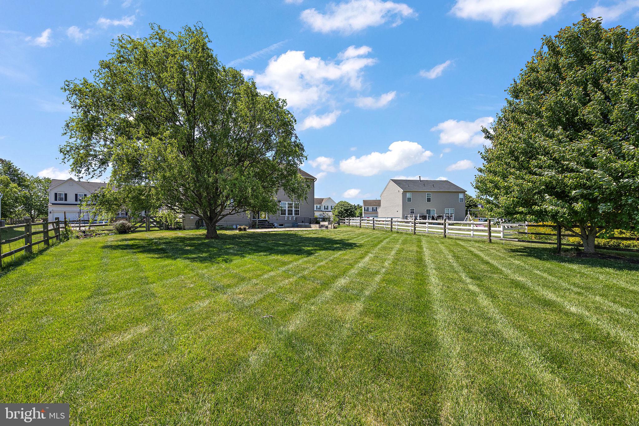245 BUCKTAIL DRIVE