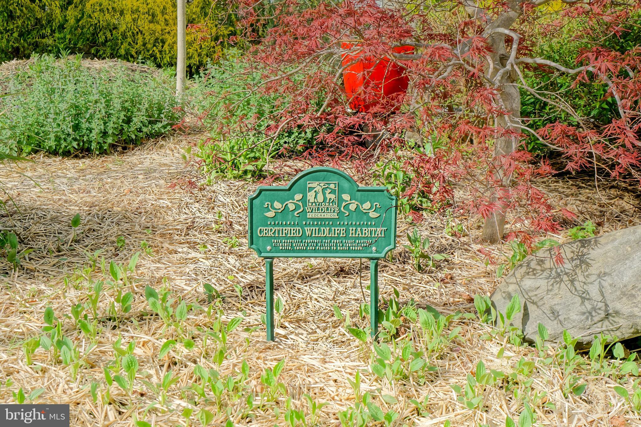 109 Hornbill Ct