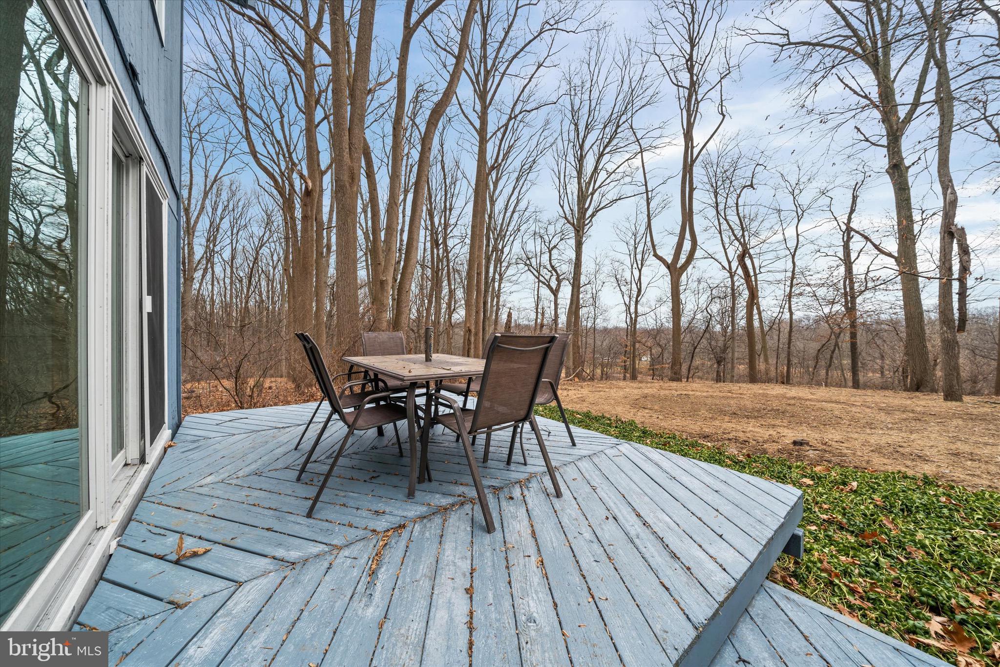 119 STONEY RIDGE ROAD