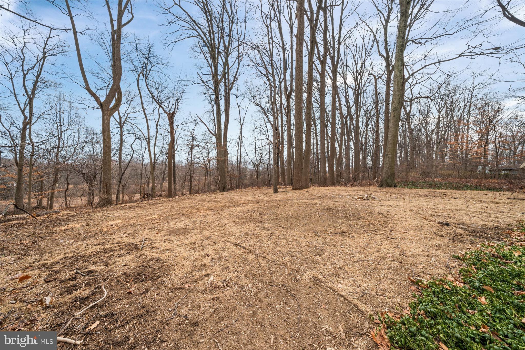 119 STONEY RIDGE ROAD