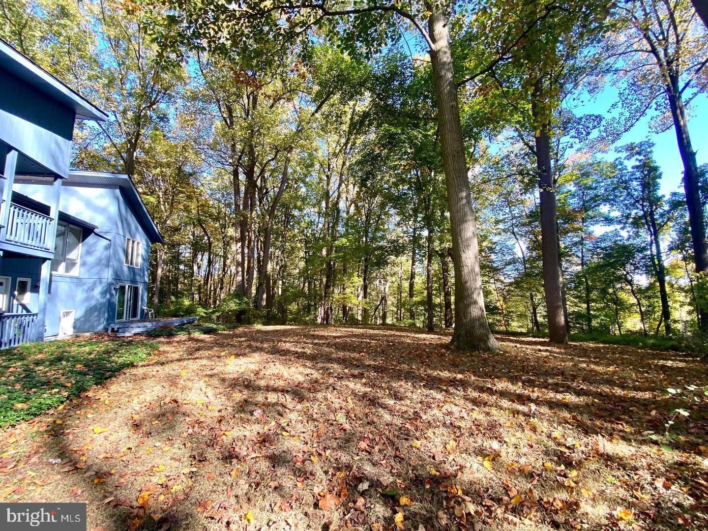 119 STONEY RIDGE ROAD