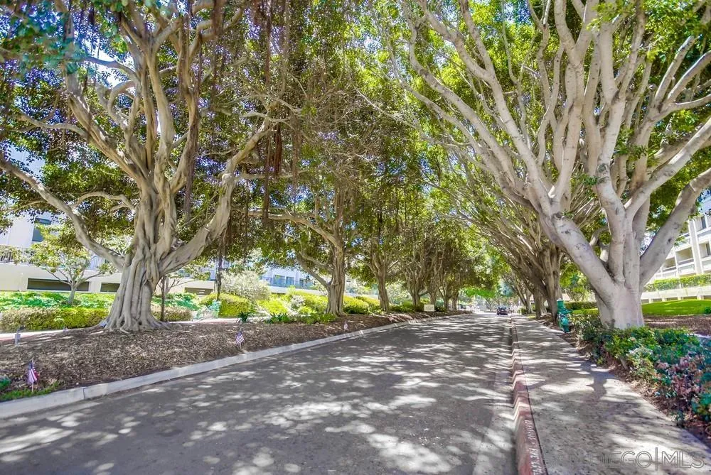 5645 Friars Rd Unit 363