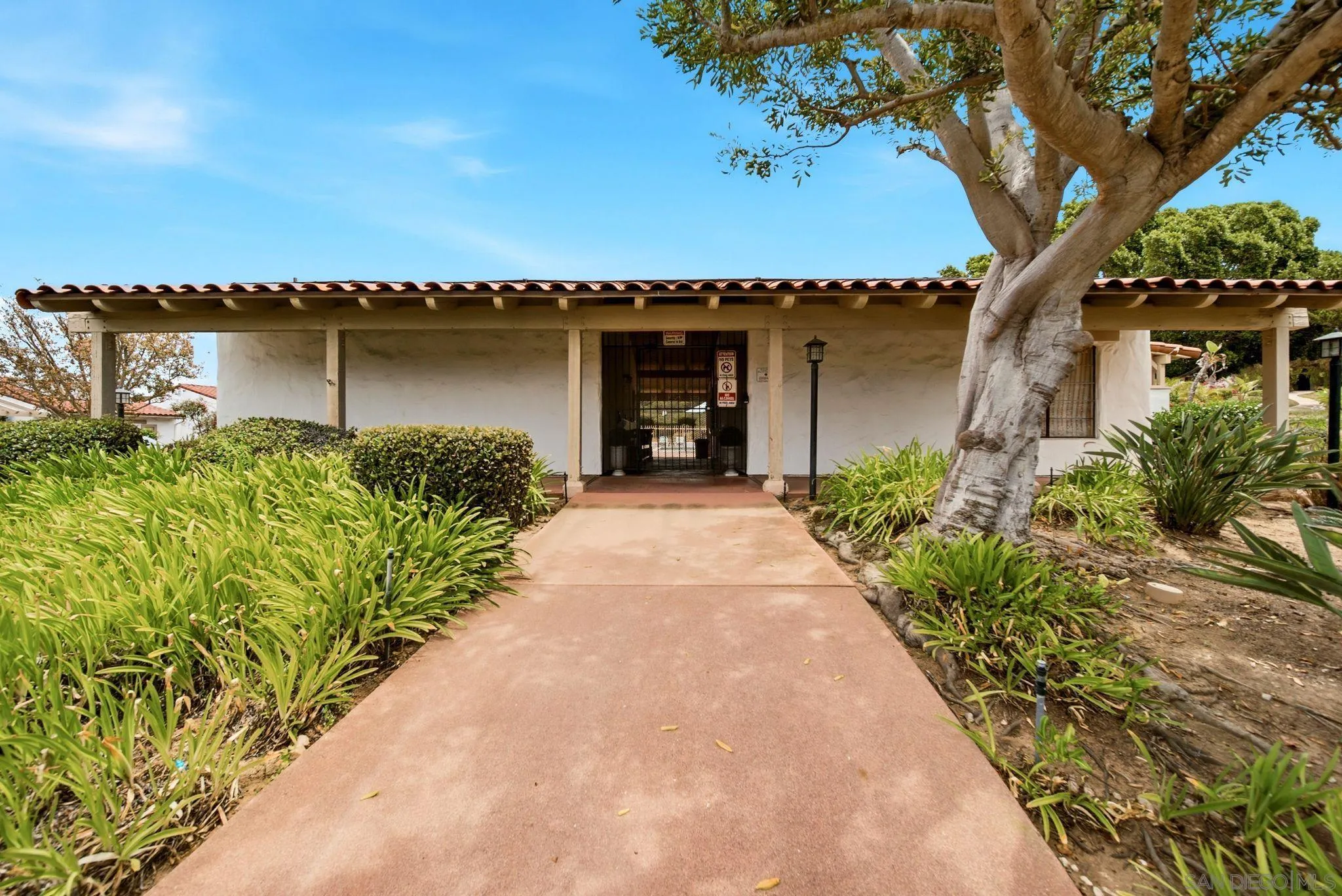 1126 San Jacinto