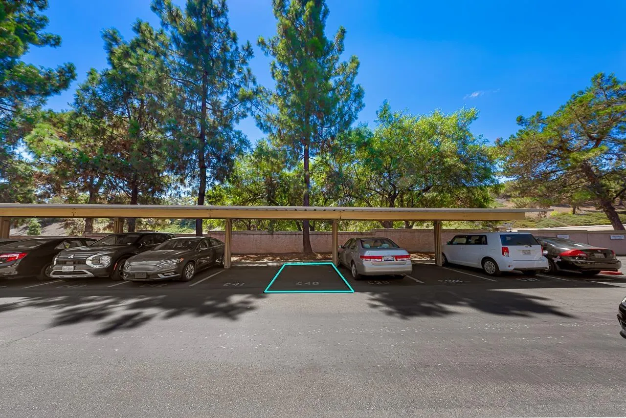 12015 Alta Carmel Ct Unit 299