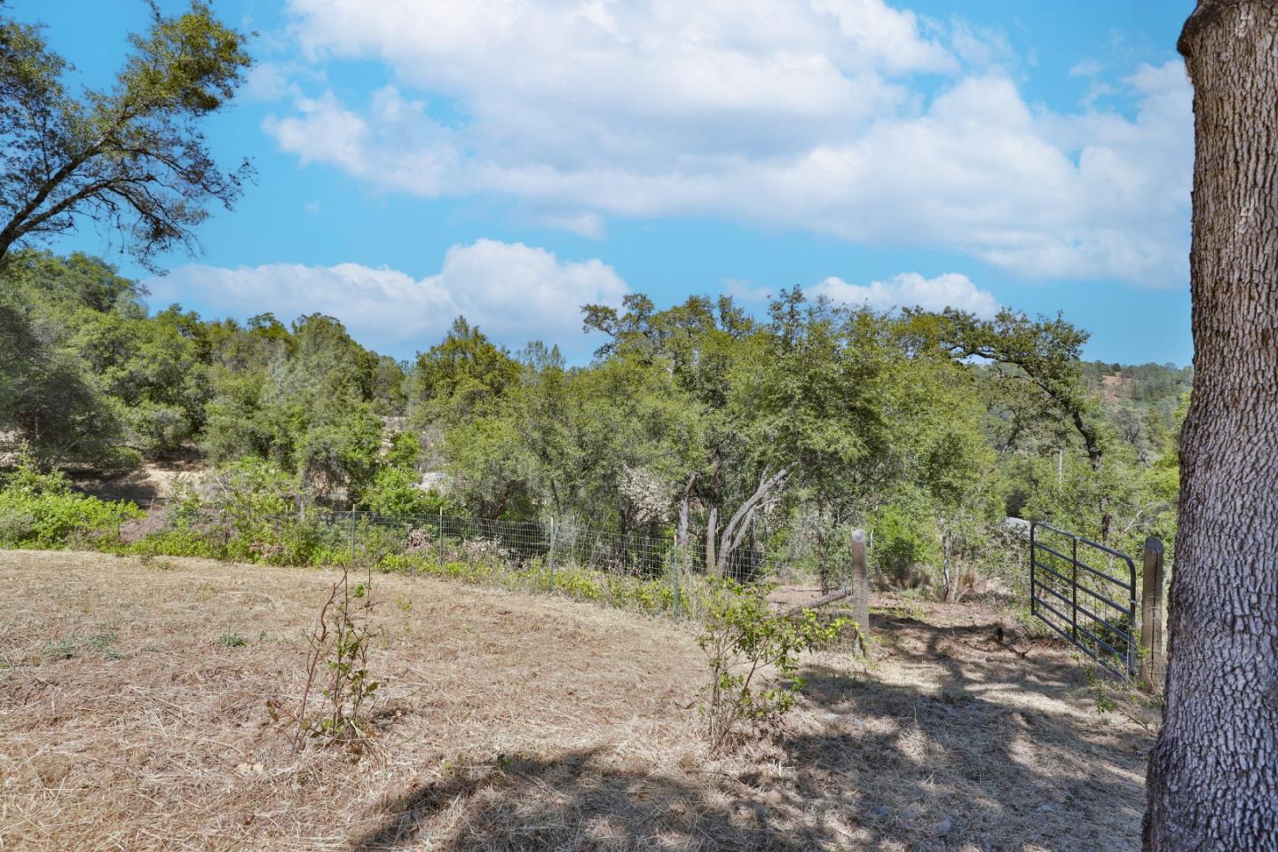 4785 Meadowview Acres CT