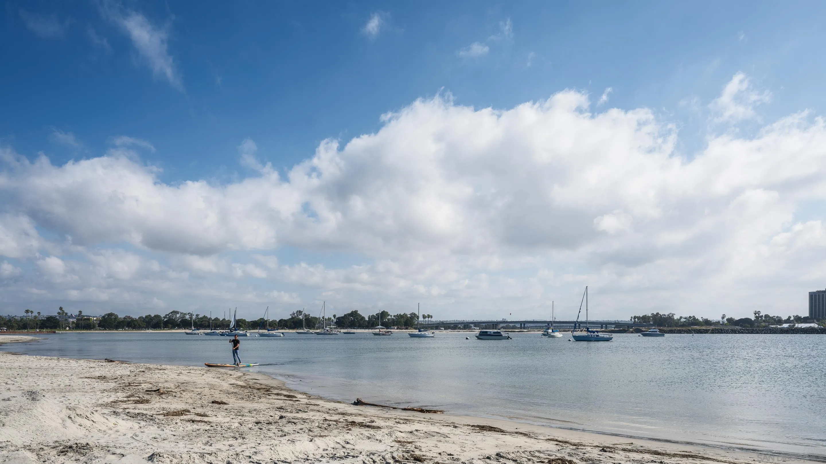 2841 Bayside Walk