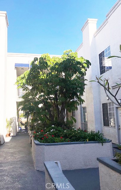 151 N Maple Street 210