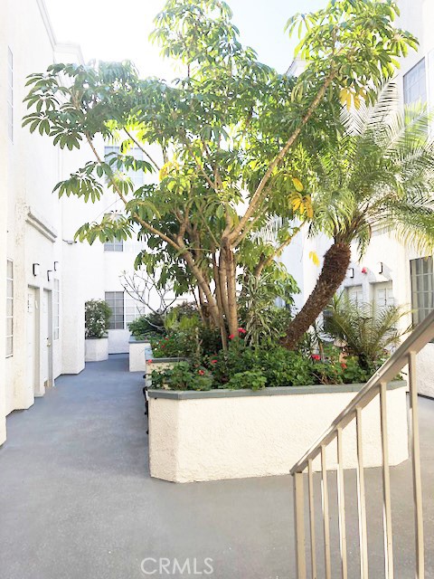 151 N Maple Street 210