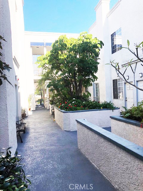 151 N Maple Street 210