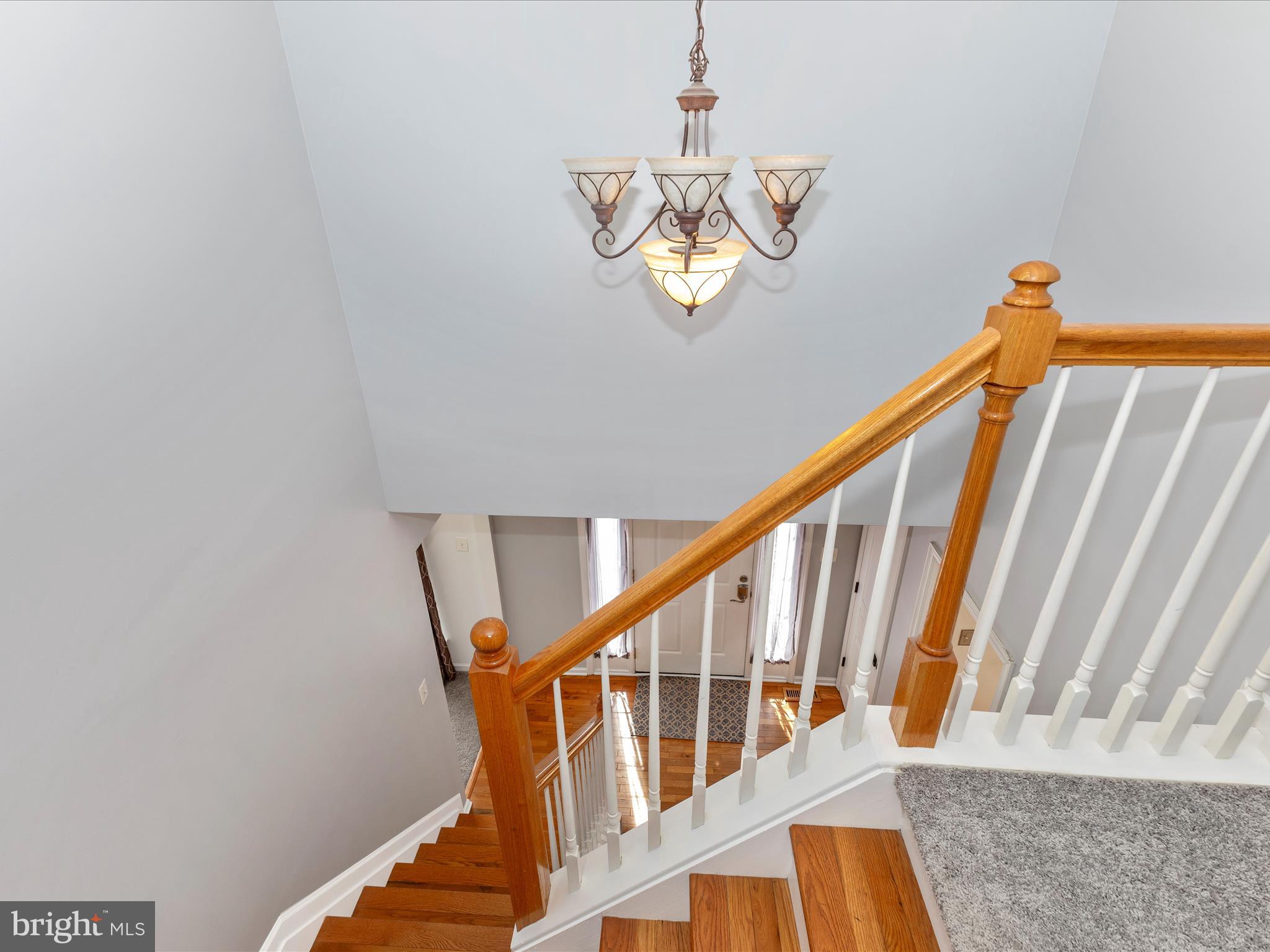 6524 ELDERBERRY COURT