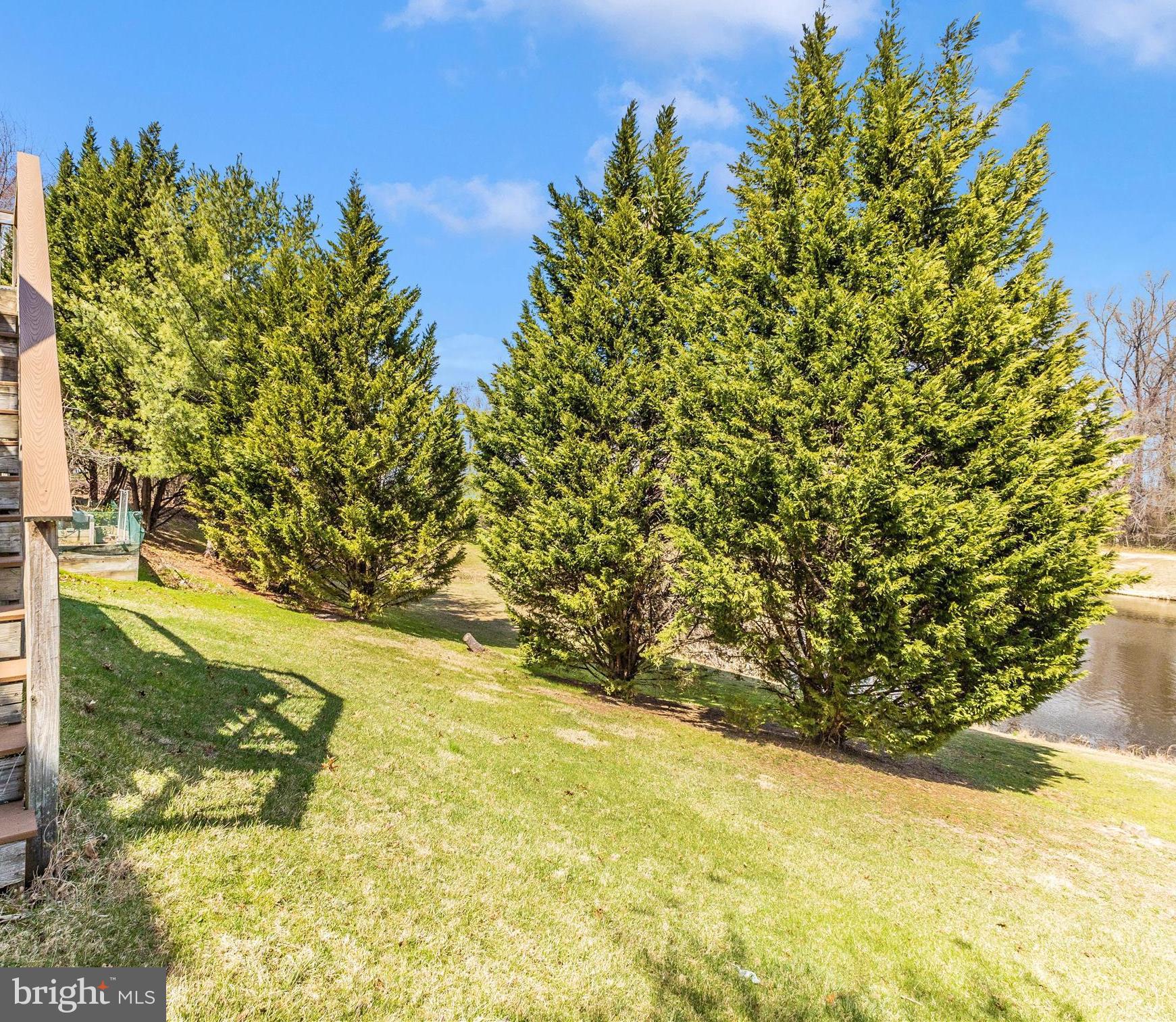 6524 ELDERBERRY COURT