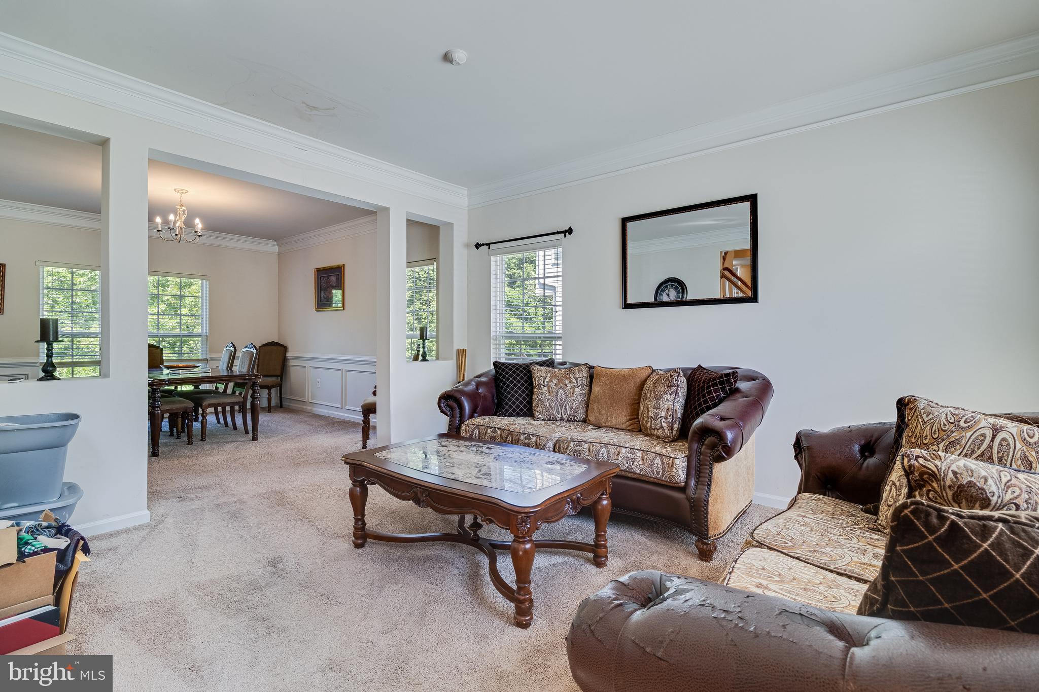 12221 HILLANTRAE DRIVE