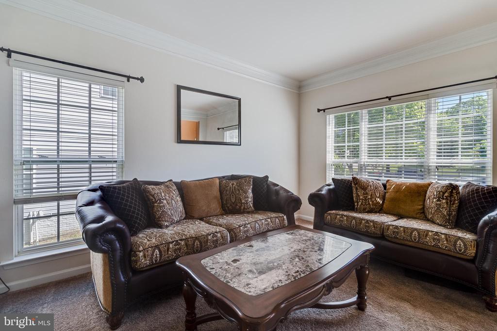 12221 HILLANTRAE DRIVE