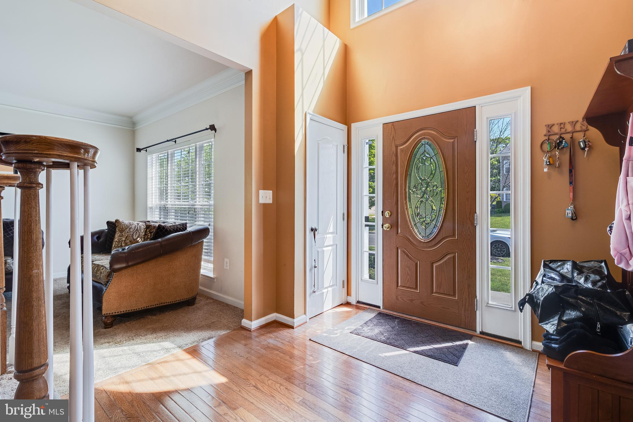 12221 HILLANTRAE DRIVE