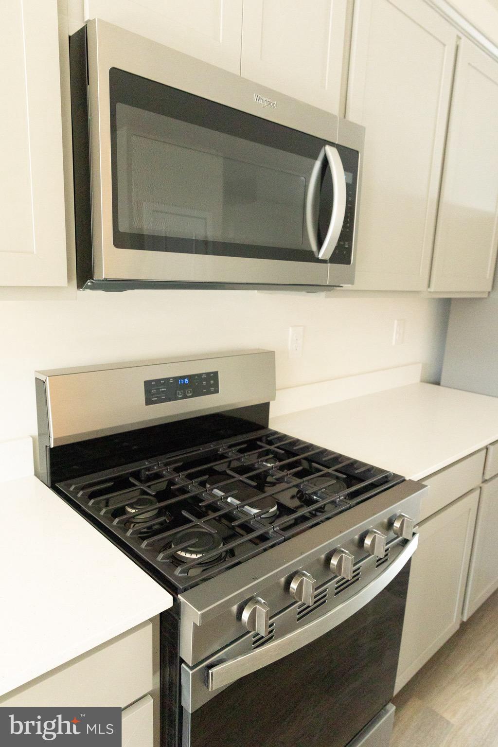 10630 MERIDAN HILL WAY