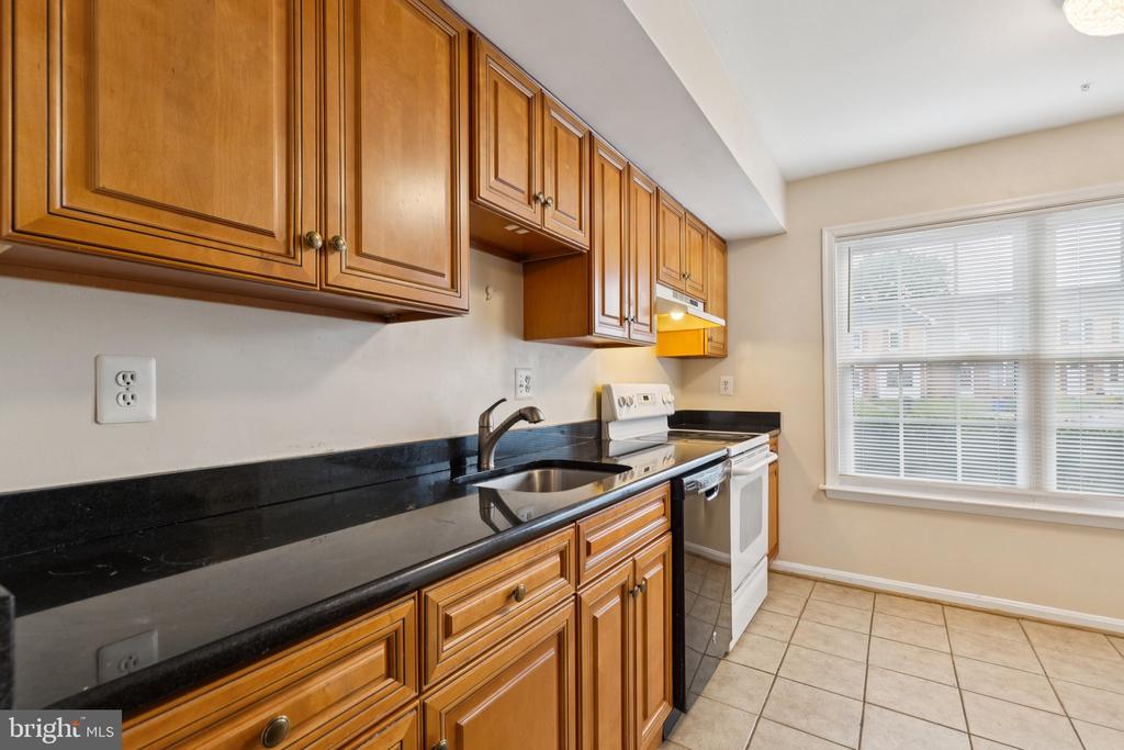 3413 TENDRIL COURT