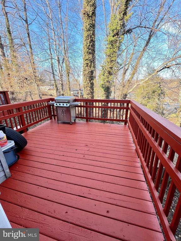 4504 BLUE JAY COURT