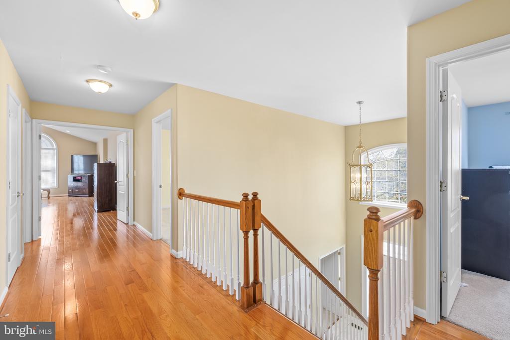 10815 STACY RUN
