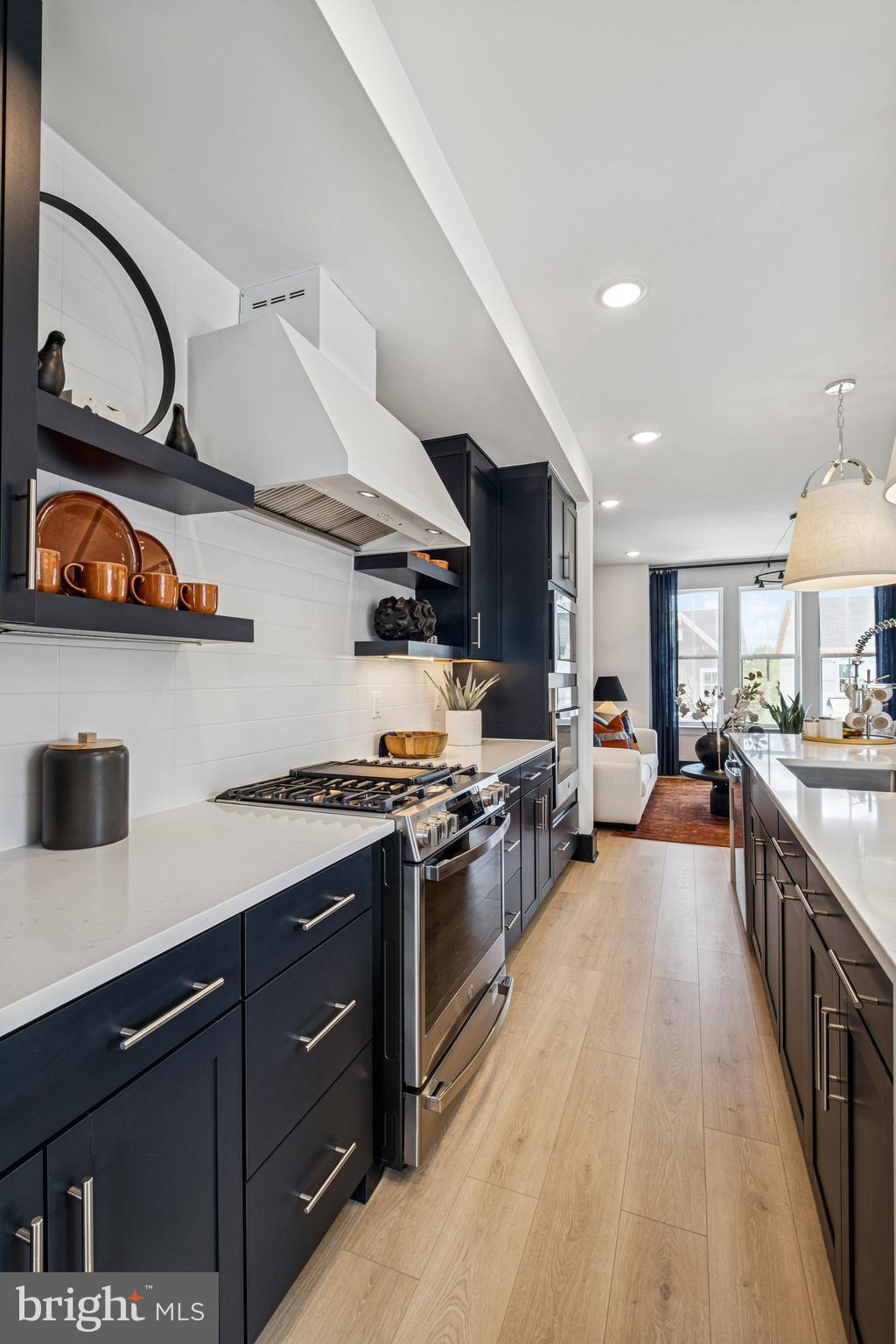 9405 PACIFIC ELM STREET LOT 244