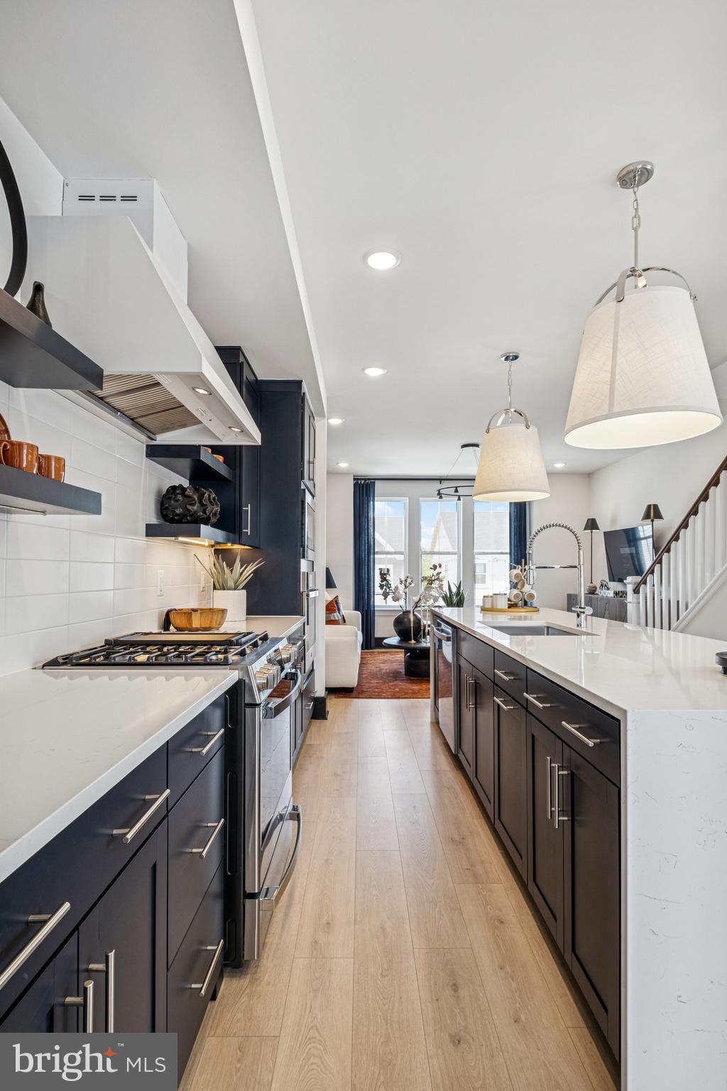 9405 PACIFIC ELM STREET LOT 244