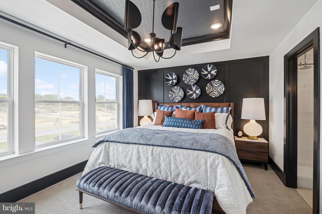 9405 PACIFIC ELM STREET LOT 244