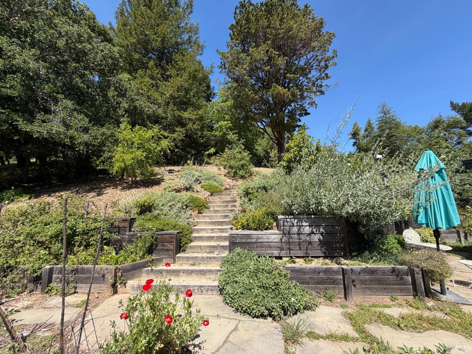 42 Pine Drive