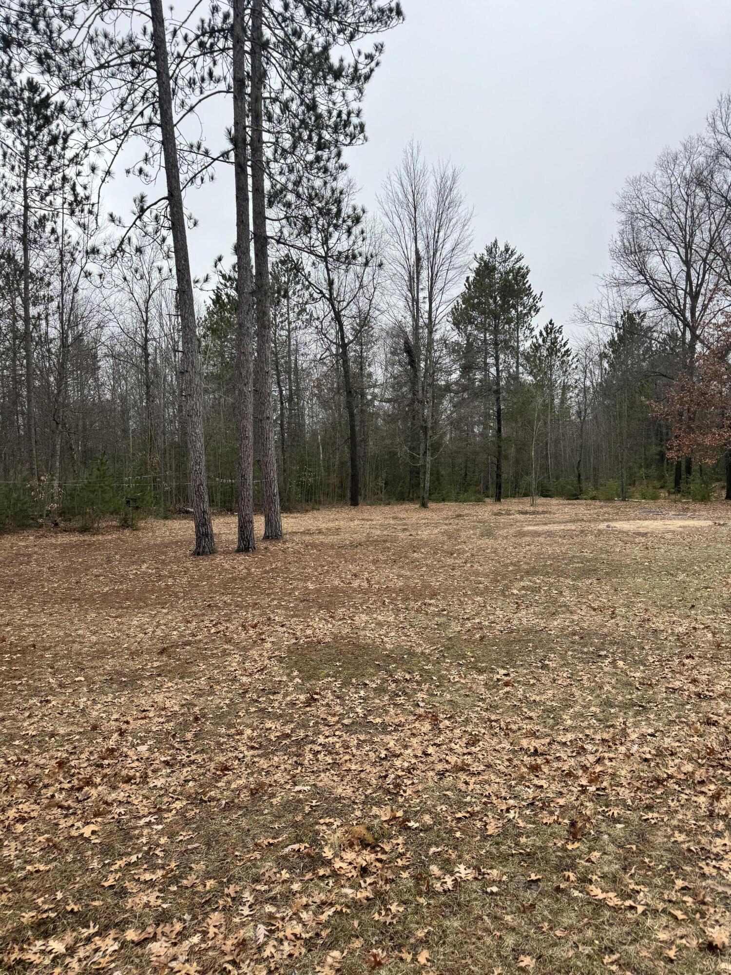 10365 Cadillac Drive