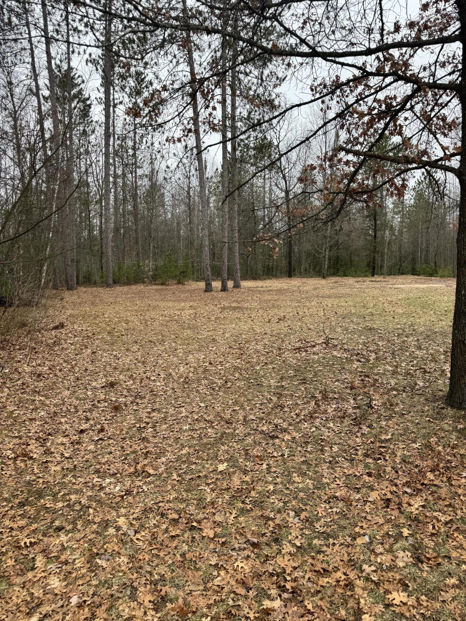 10365 Cadillac Drive