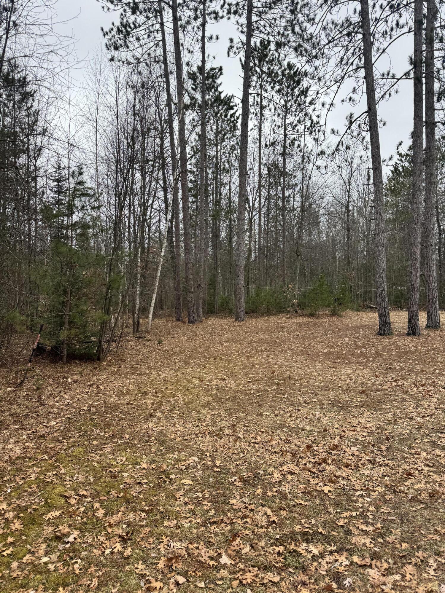 10365 Cadillac Drive