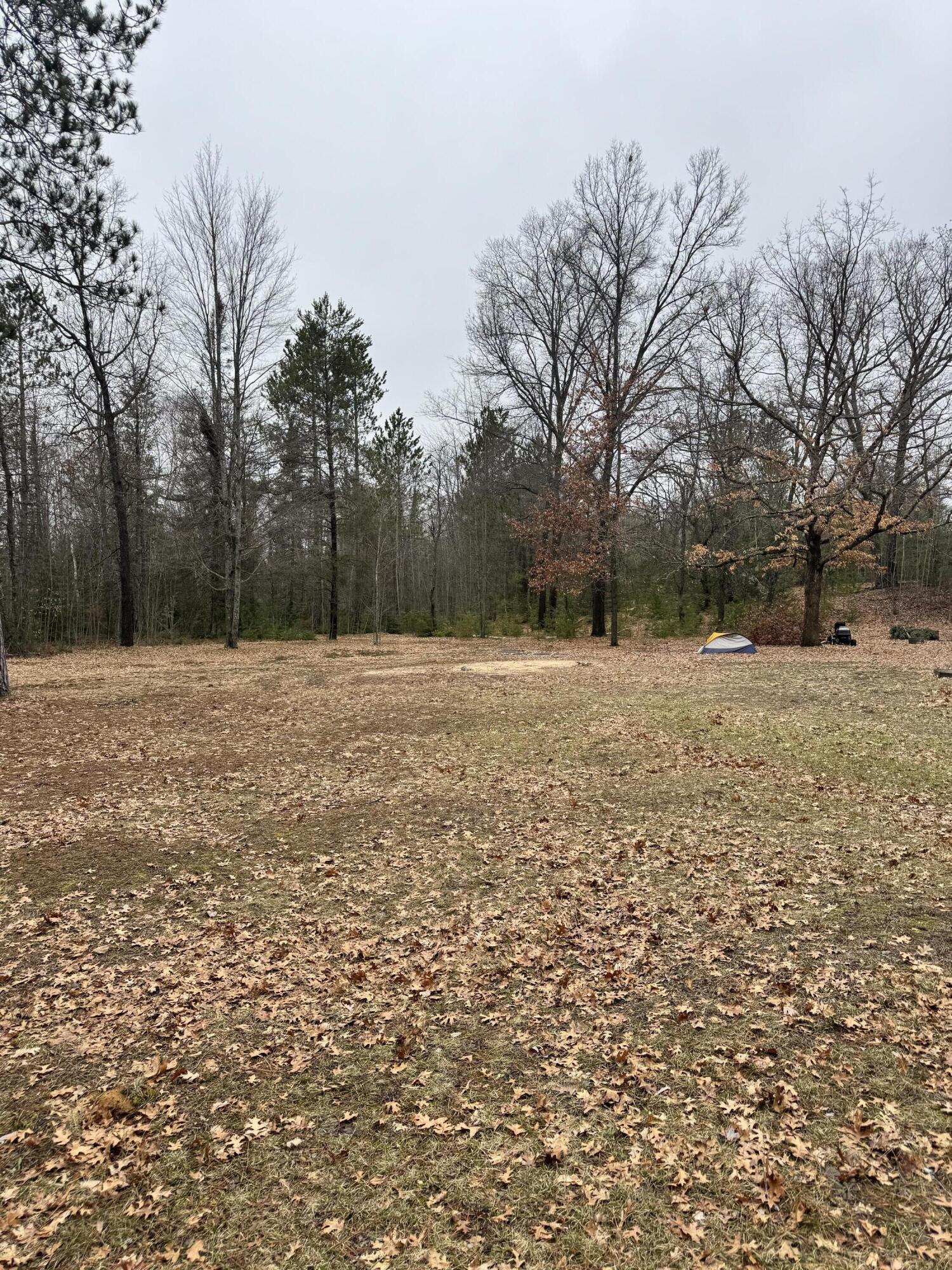 10365 Cadillac Drive