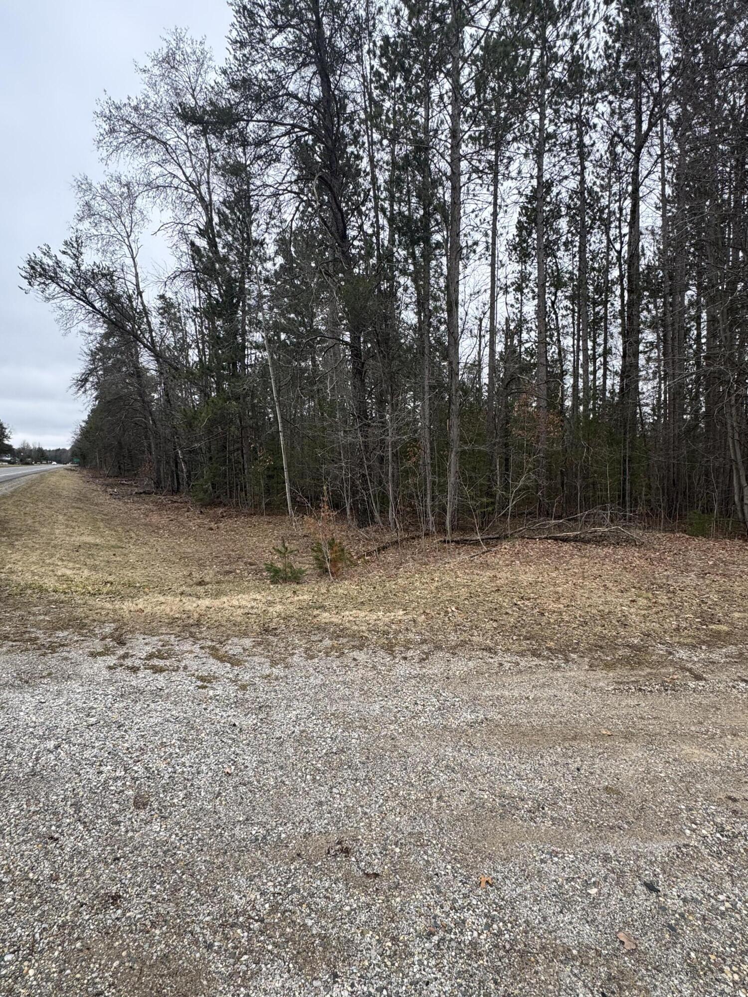 10365 Cadillac Drive