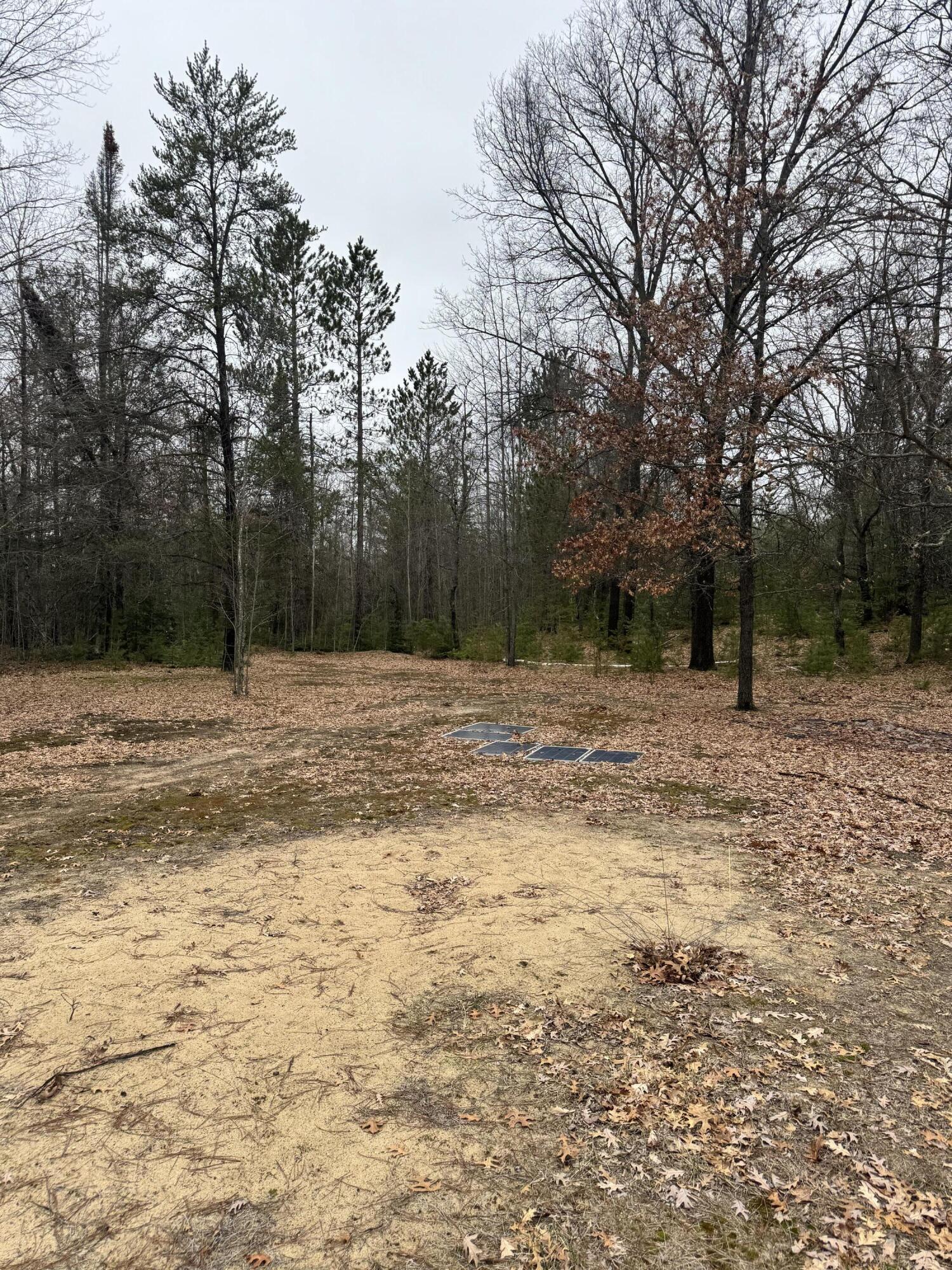 10365 Cadillac Drive