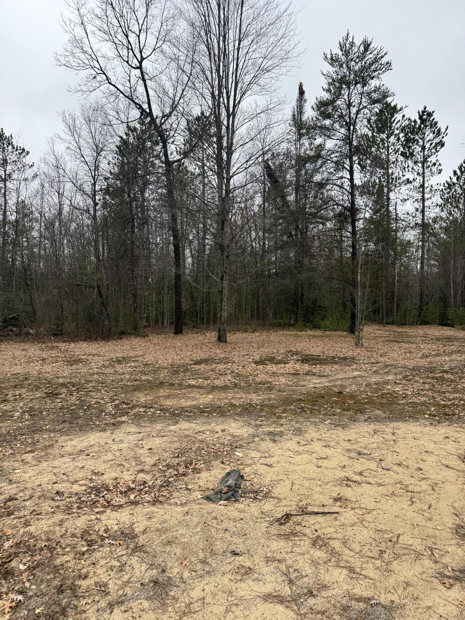 10365 Cadillac Drive