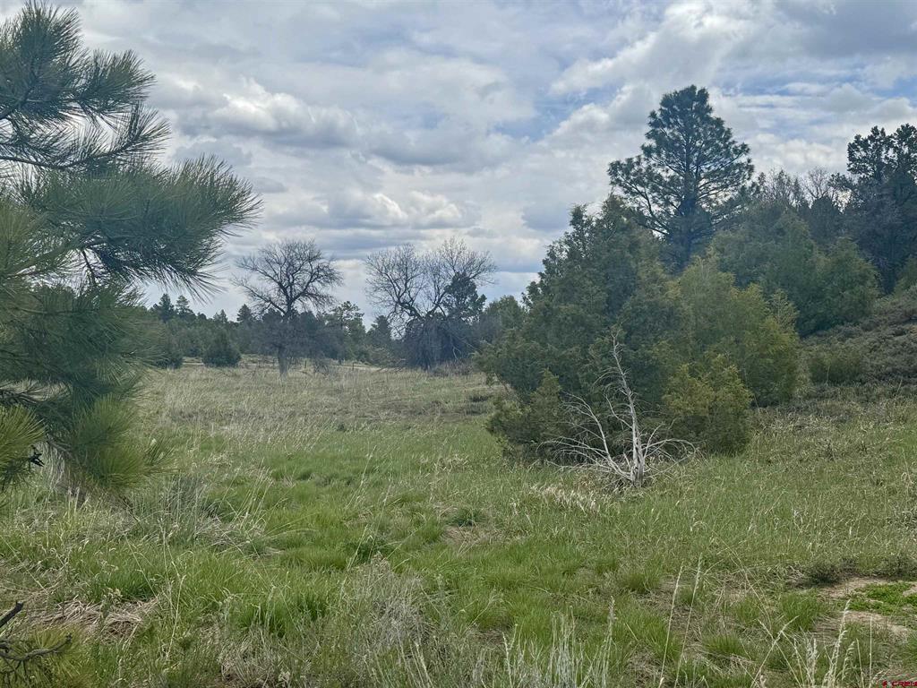 1781 Heritage Road