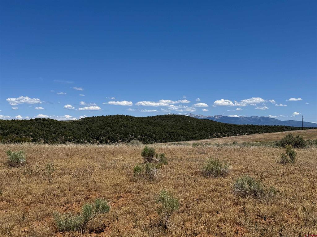29373 Hwy 184