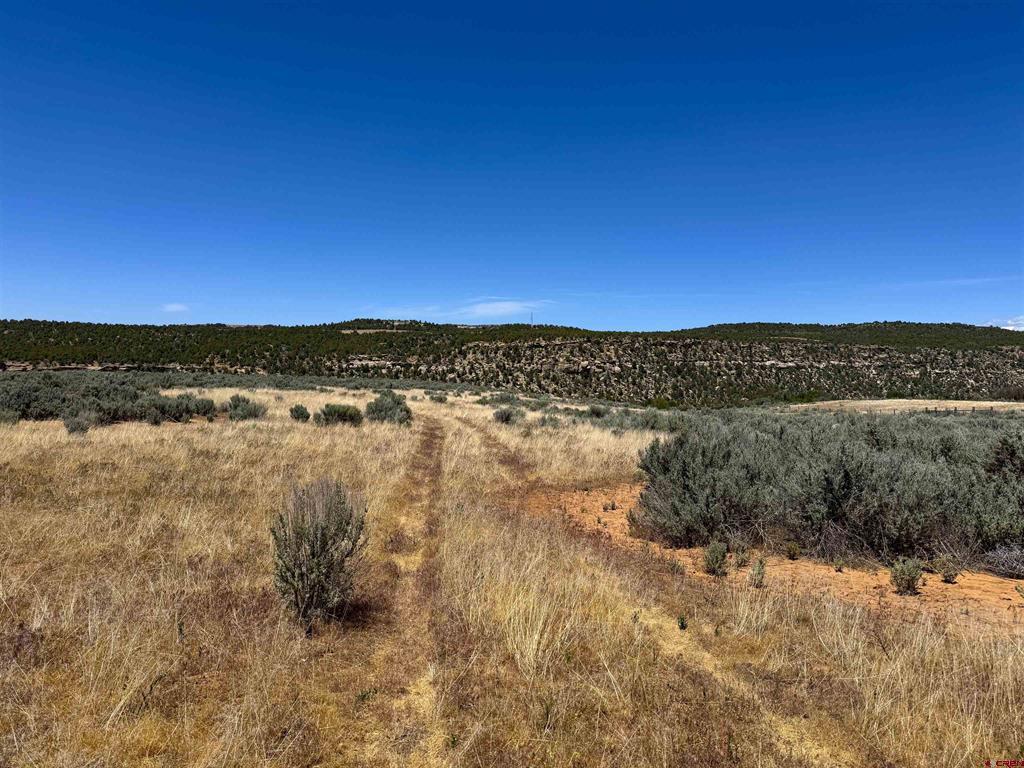 29373 Hwy 184