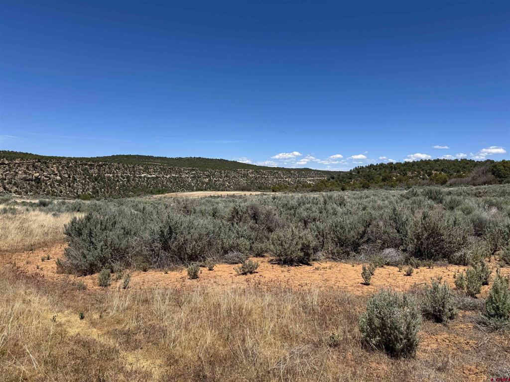 29373 Hwy 184
