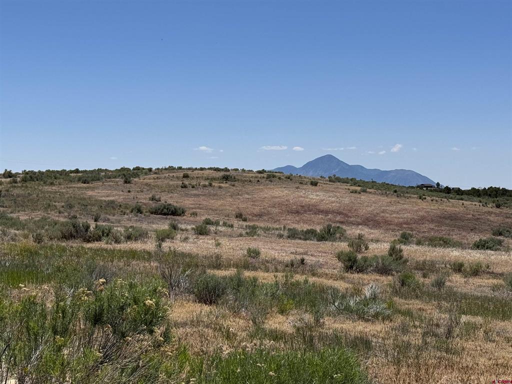29373 Hwy 184