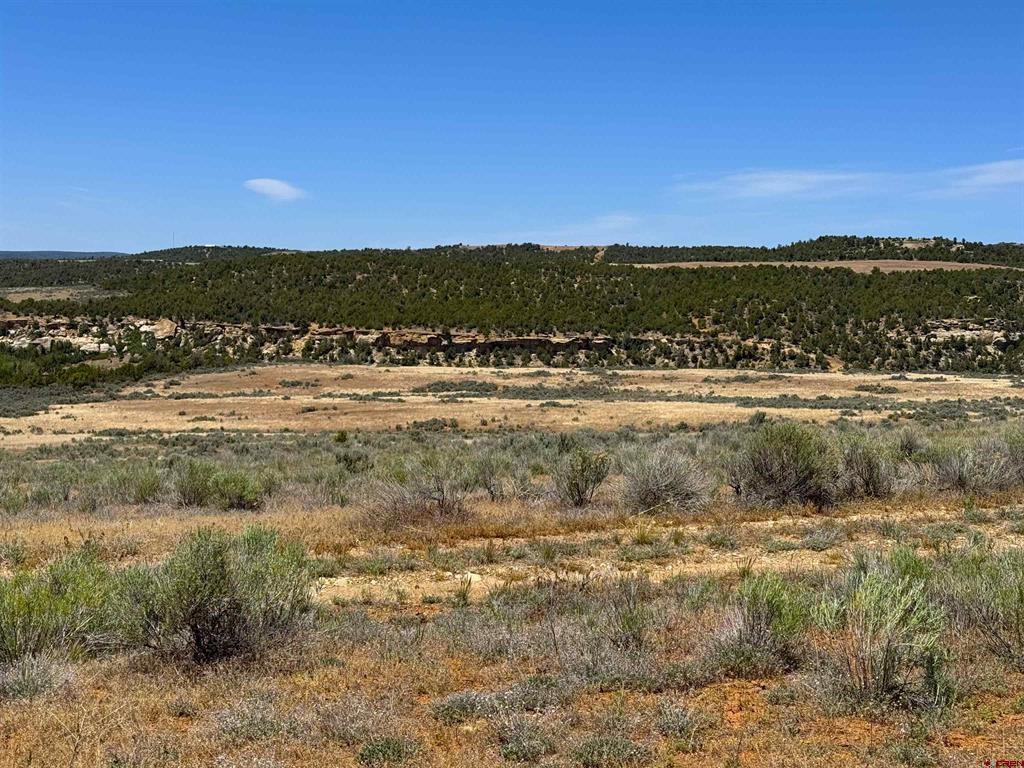 29373 Hwy 184