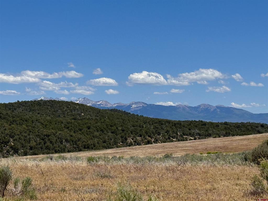 29373 Hwy 184