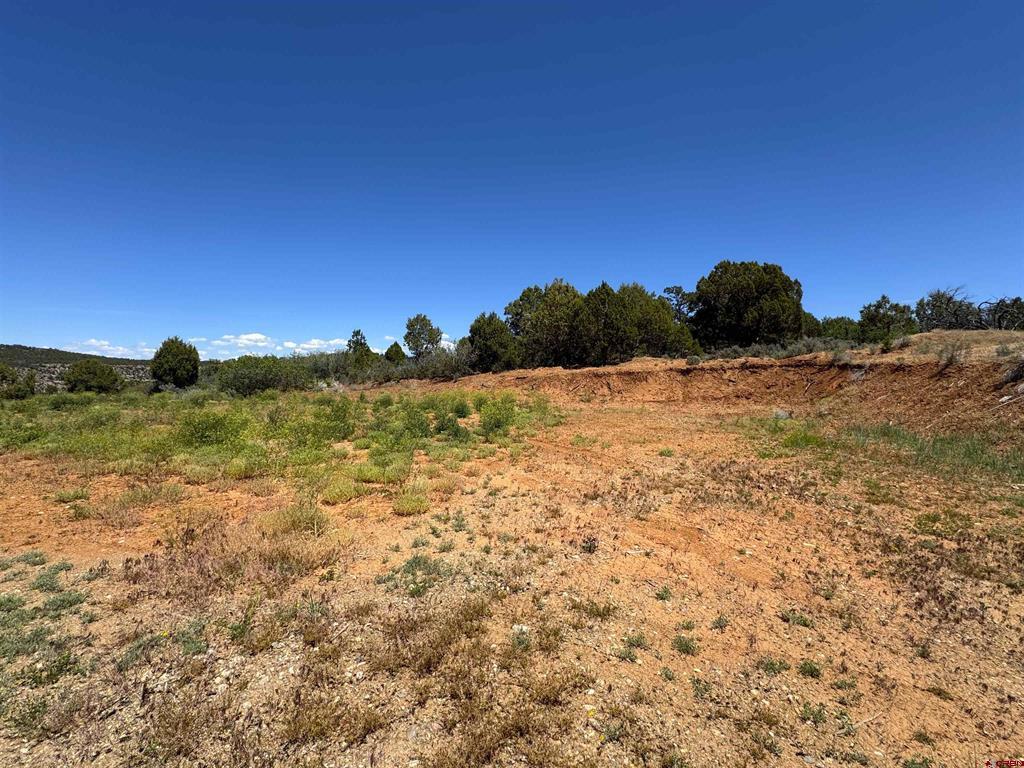 29373 Hwy 184