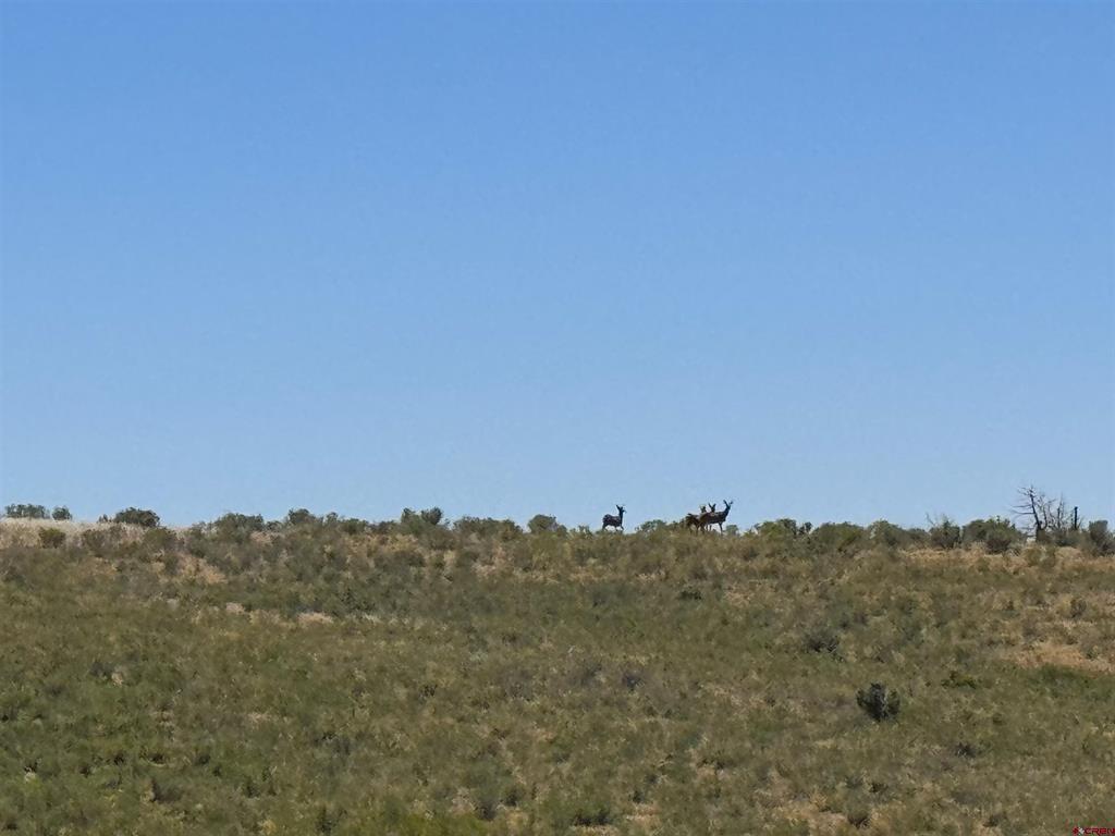 29373 Hwy 184
