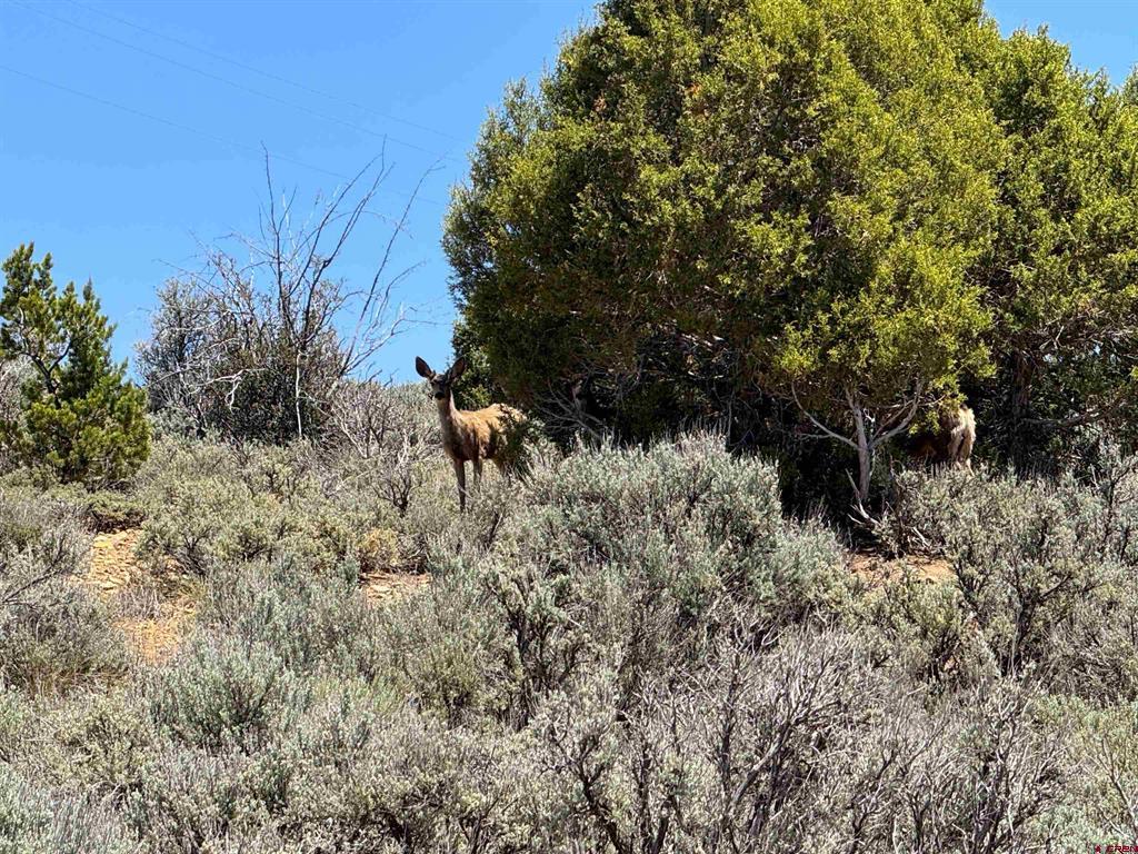 29373 Hwy 184