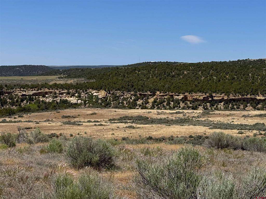 29373 Hwy 184