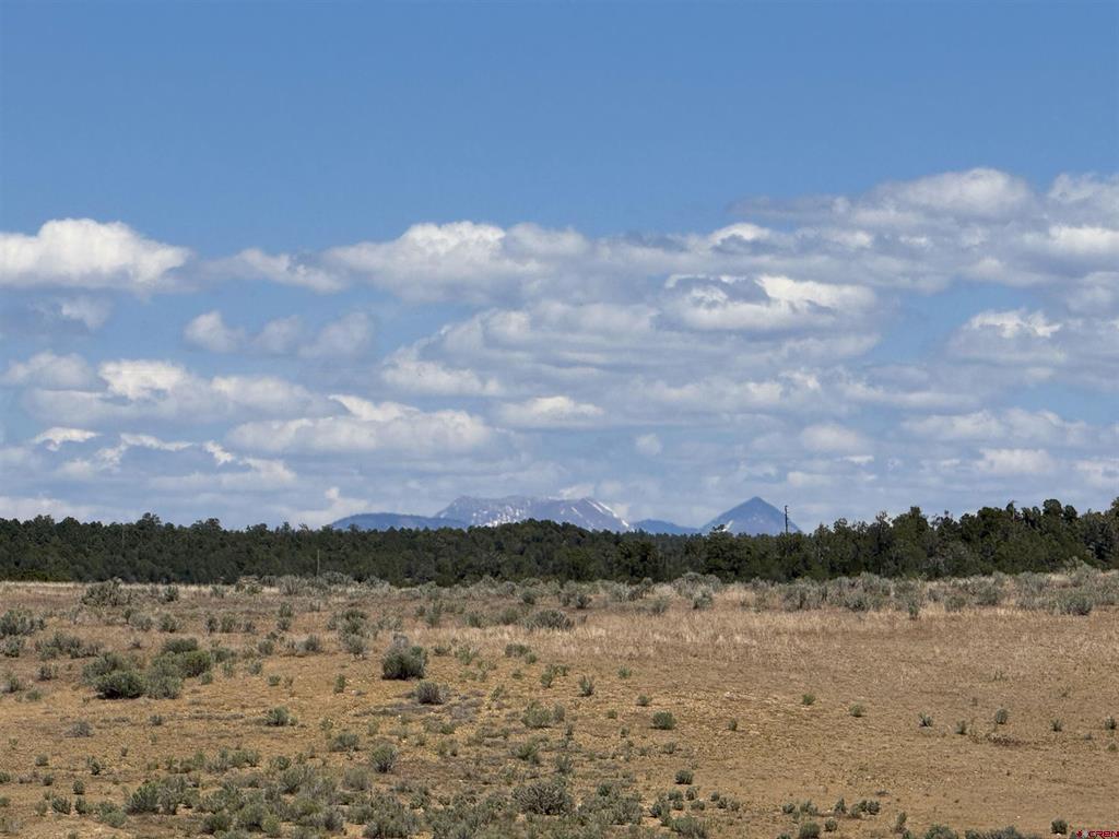 29373 Hwy 184