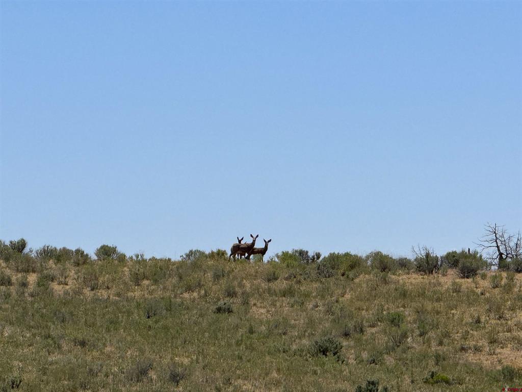 29373 Hwy 184