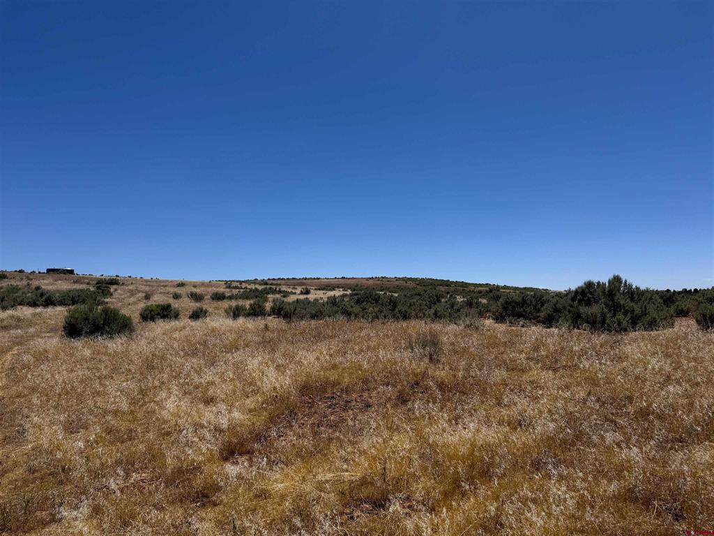 29373 Hwy 184